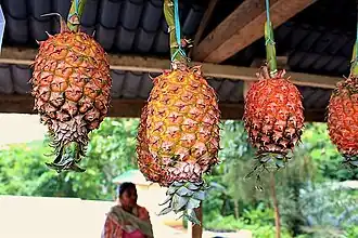 Ananas auf einem Markt in Gleno