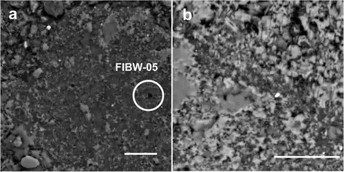 Mikroskopische Rückstreuelektronenkontrast-Aufnahmen (REM-BSE) mit geringer Vergrößerung von typischen organischen Partikelmorphologien in Winchcombe