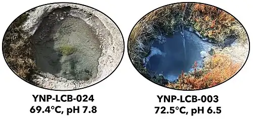 Zwei Quellen im Lower Culex Basin (LCB)