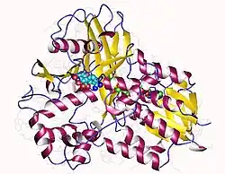 Protoporphyrinogen-Oxidase