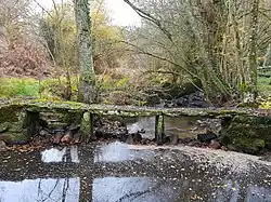 Pont 5 Pierres in Gesvres