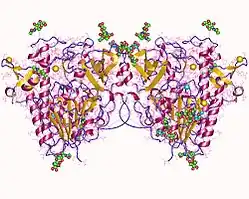 Iduronat-2-sulfatase