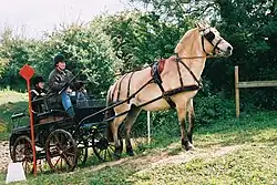 Halten ohne Bremse am Hang