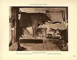 Tierpräparate in der Ausstellung