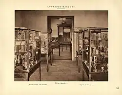 Schlangen- und Alligatorenpräparate