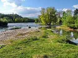 Das Naturschutzgebiet Limmatspitz von Pro Natura Aargau beim Zusammenfluss von Aare und Limmat