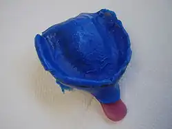 Funktionsabdruck eines zahnlosen Oberkiefers