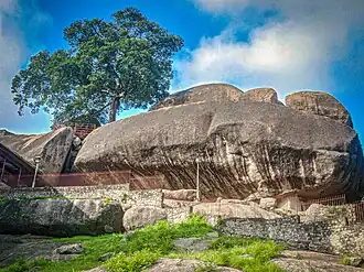 Gipfelbereich mit dem Irokbaum