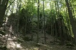 Bild 2: Ansicht der Spornspitze des Naturdenkmals Kuhfelsen (August 2013)