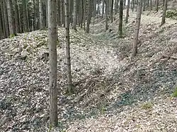 Vorwälle und Gräben im Osten