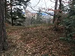 Burgstallberg I. Im Hintergrund die Burg Clam. Distanz 265 m