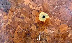 Typ Wimberg (Entfärbung um Vanadiumkern)