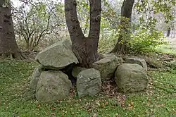 Großsteingrab Wanna 7