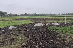 Großsteingrab im Ahlen-Falkenberger Moor