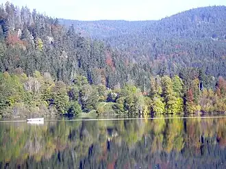 Albstausee im Tal der Alb