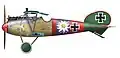 Ein von Paul Bäumer in der Jasta 5 geflogener Albatros D.V