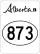 H873