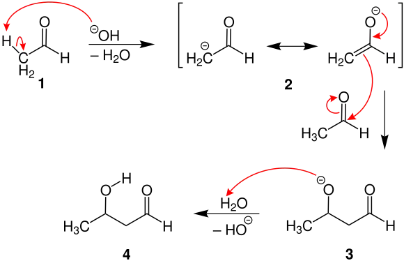 Additionsmechanismus basenkatalysiert
