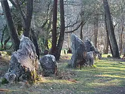 Alignement Le Petit Menec