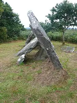 Allée couverte Castel-Ruffel