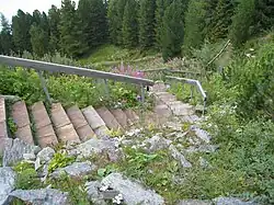 Steinerne Stufen mit einem Geländer in der alpinen Landschaft des Alpengarten Patscherkofel.