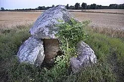 Stenstuen oder Alstrup Jættestue