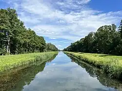 Nordumfluter in Alt Zauche