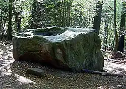 Naturdenkmal Alte Taufe im Deister
