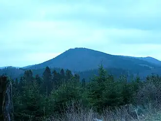 Blick zur Alten Grimme aus südwestlicher Richtung