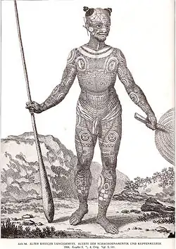 Tätowierter Krieger aus dem Buch von K.v.d. Steinen: Die Marquesaner und ihre Kunst