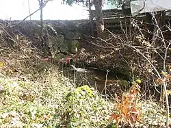 Quelle des Alterbachs