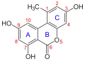 Nummerierung der Atome und Bezeichnung der Ringe im Alternariolmolekül