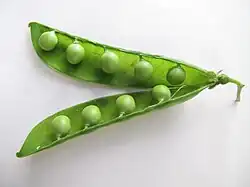 Erbsen