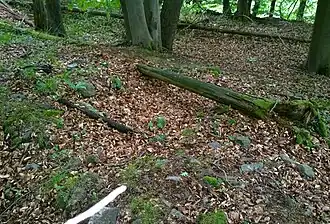 innerer Burgbereich, Turmrest