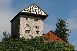 Burg Neu-Altstätten