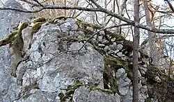 Bild 4: Futtermauereste an der westlichen Felsspitze der Unterburg