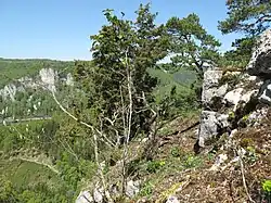 Bild 10: Gebäudeecke des Wohnturmes am nordwestlich steil abfallenden Burgfels