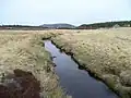 Der Anaboard Burn ein kurzes Stück vor der Mündung in den Dorback Burn