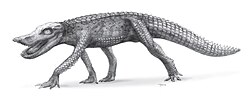 Rekonstruktion eines Anatosuchus von Todd S. Marshall, 2009.[114]
