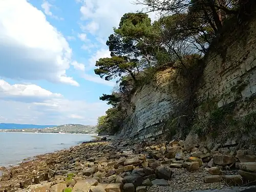Steilküste mit Flysch-Schutt