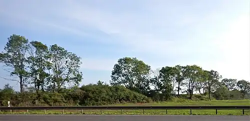 Wall der Anklamer Landewehr