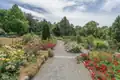 Rosarium im Botanischen Garten der Stadt Hof