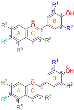 Grundstruktur der Anthocyane: das Flavyliumkation