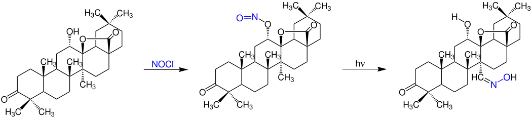 Oximsynthese