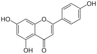 Apigenin: Aglycon