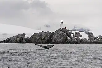 Leuchtturm „Primero de Mayo“ (deutsch 1. Mai) auf der Lambdainsel, Melchior-Inseln, errichtet von Argentinien im Jahre 1942. Es handelt sich um den ersten argentinischen Leuchtturm in der Antarktis.