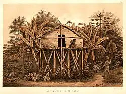 Arfakisches Haus in Andai (Neuguinea)