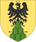 Gebessertes Wappen mit einköpfigem Reichsadler, Zeichen kaiserlicher Anhängerschaft, das Recht zur Aufnahme des Adlers soll 1369 Karl IV. erteilt haben[2]