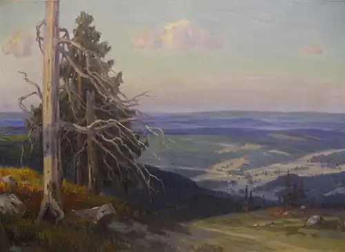 Blick vom Feldberg im Schwarzwald (1910)