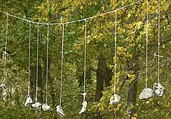 „Magischer Hain“ im Obersten Holz